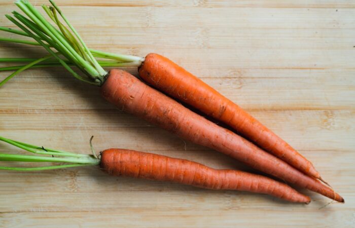 Grow Organic Carrot The Secret No One Tells You Feature image for Grow Organic Carrot The Secret No One Tells You
