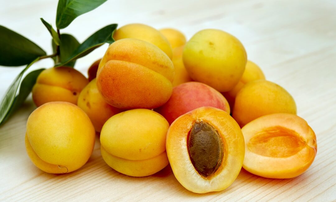 Feature image for Grow Organic Apricots at Home with These Simple Steps to Success