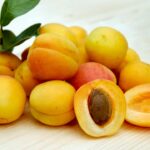 Feature image for Grow Organic Apricots at Home with These Simple Steps to Success