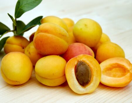 Feature image for Grow Organic Apricots at Home with These Simple Steps to Success