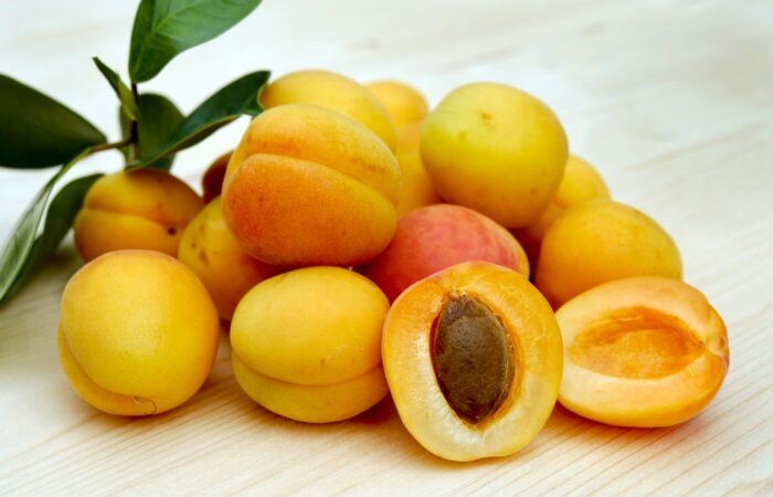 Feature image for Grow Organic Apricots at Home with These Simple Steps to Success