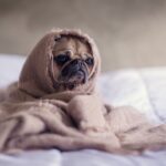 Feature image for Unlocking Sleep: How Anxiety Weaves Its Way into Your Sleep Cycle - A Friendly Guide