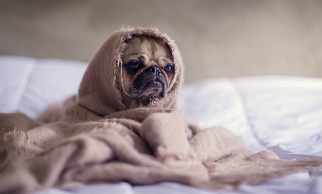 Feature image for Sleepless Nights: How Anxiety Can Sabotage Your Sleep Cycle