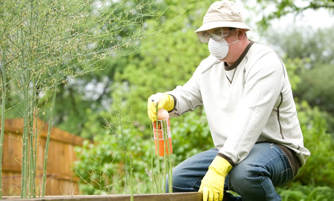 Feature image for Find out the best way to control pests in your home Learn