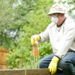 Feature image for Find out the best way to control pests in your home Learn