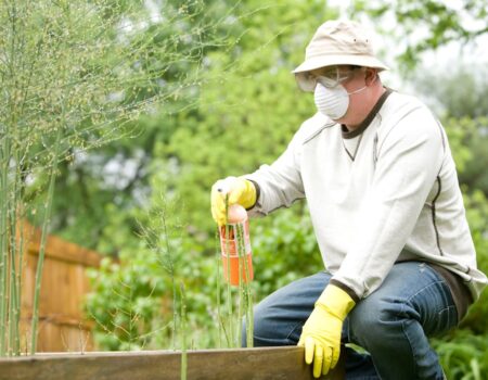 Feature image for Find out the best way to control pests in your home Learn