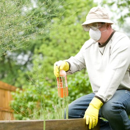 Feature image for Find out the best way to control pests in your home Learn