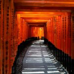 Feature image for Discover the Best Time to Visit Kyoto for Cherry Blossoms