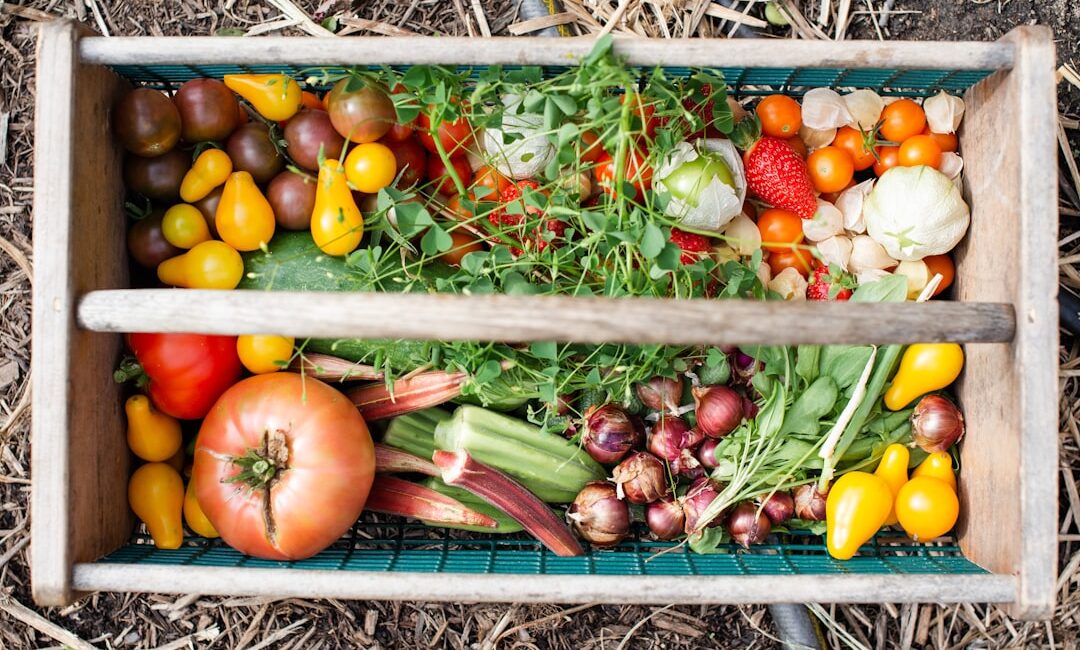 Feature image for Start a Vegetable Garden with Ease Expert Tips for Beginners