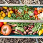 Feature image for Start a Vegetable Garden with Ease Expert Tips for Beginners