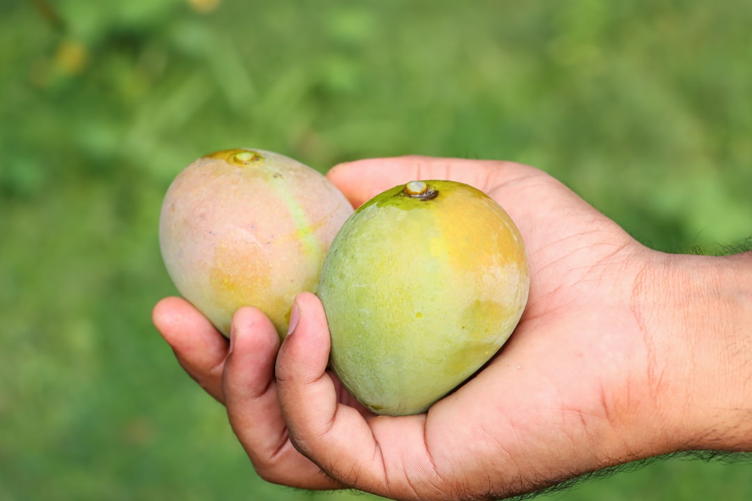 a close up of some fruit