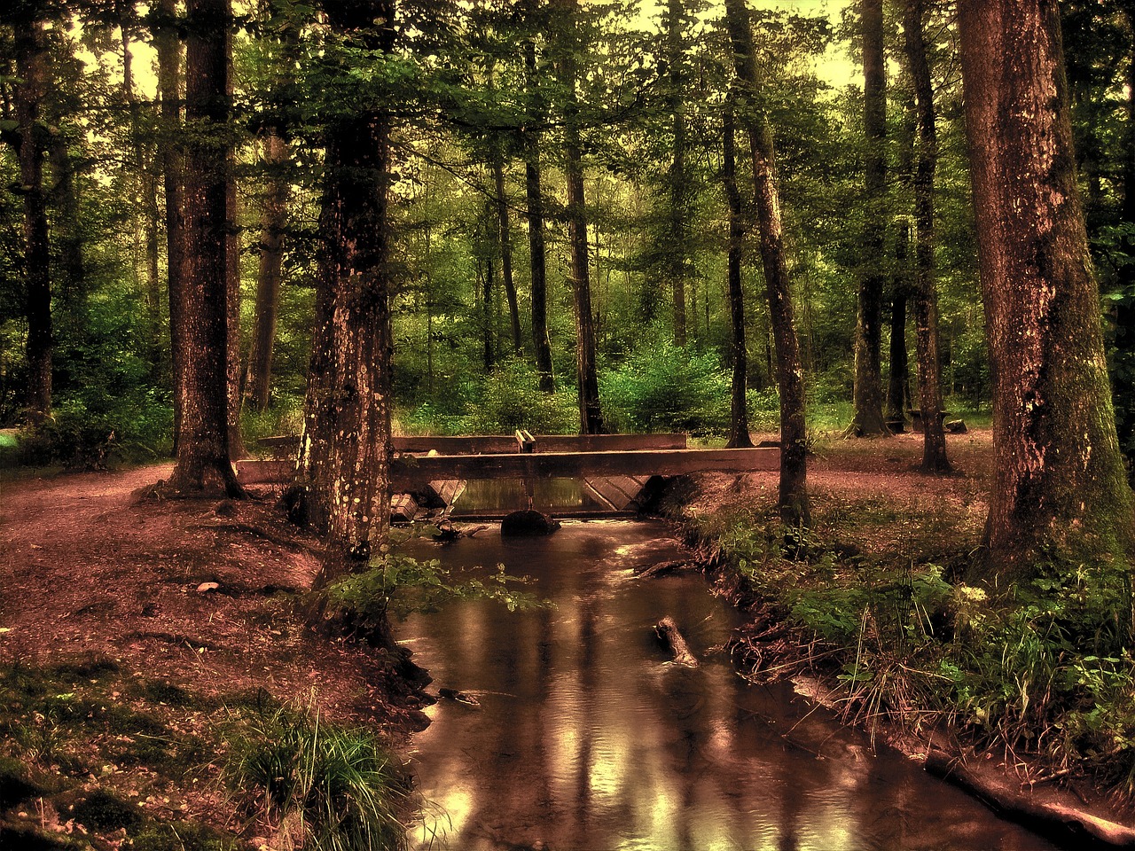 forest, romantic, mystical, tree, bach, watercourse, wave, nature, bridge, swimming pool, kneipp pool, wellness, hdr, the atmosphere, glade, reflection, earth, brown earth, brown forest, brown tree, brown wellness, brown bridge, brown wave, brown mirror, brown waves